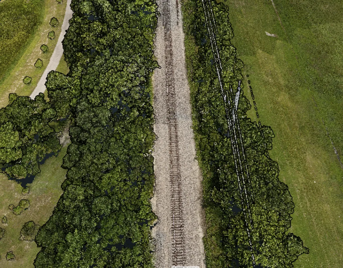 True-color view of the rail corridor: ballast and track down the center with dense tree cover on both sides.